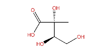 (2R,3R)-2-Methyl-2,3,4-trihydroxybutanoic acid